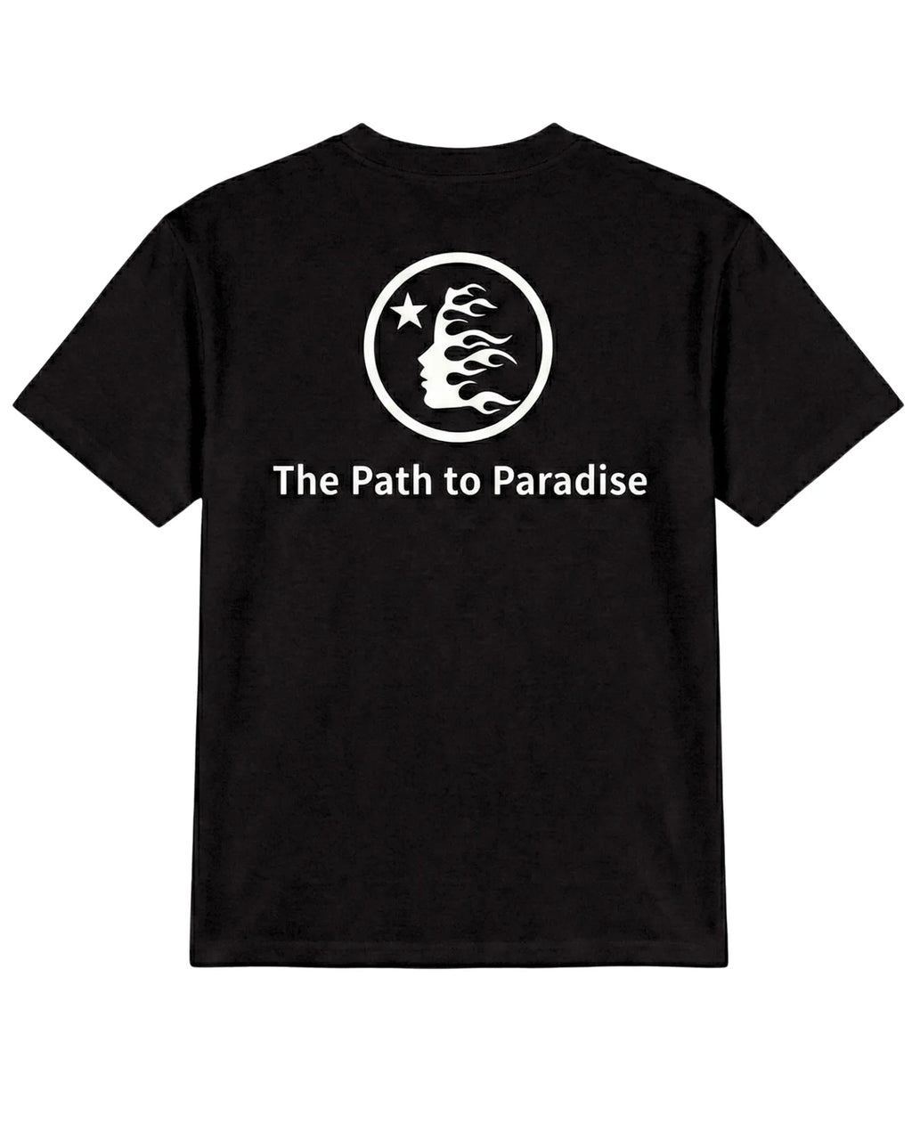 CAMISETA PREMIUM HE11 STAR PARADISE